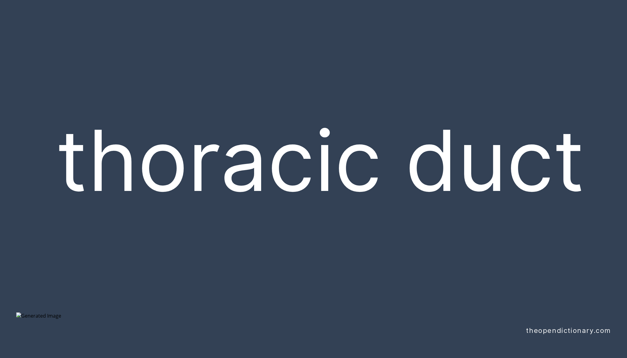 Thoracic duct Meaning of Thoracic duct Definition of Thoracic duct